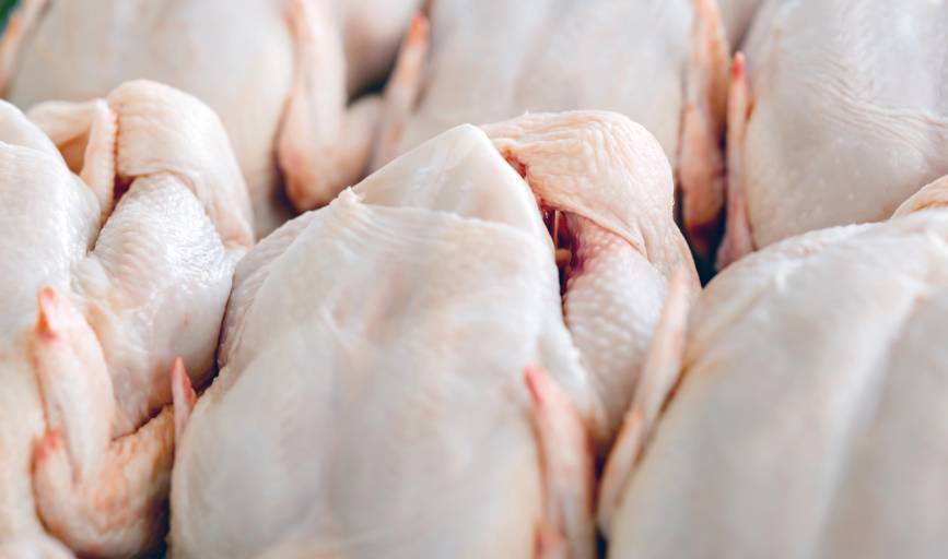 Poultry
